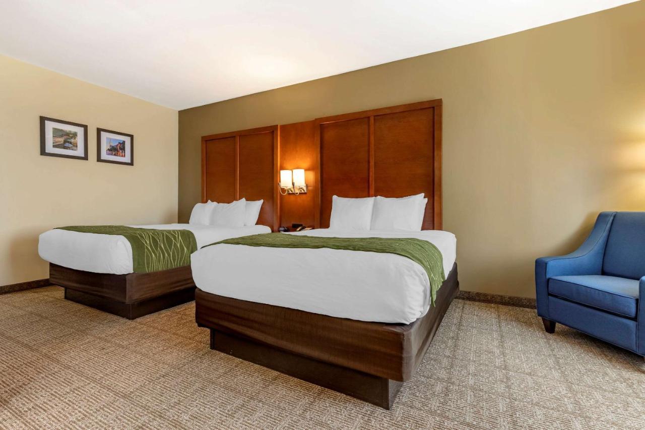 Comfort Inn & Suites Orangeburg Buitenkant foto