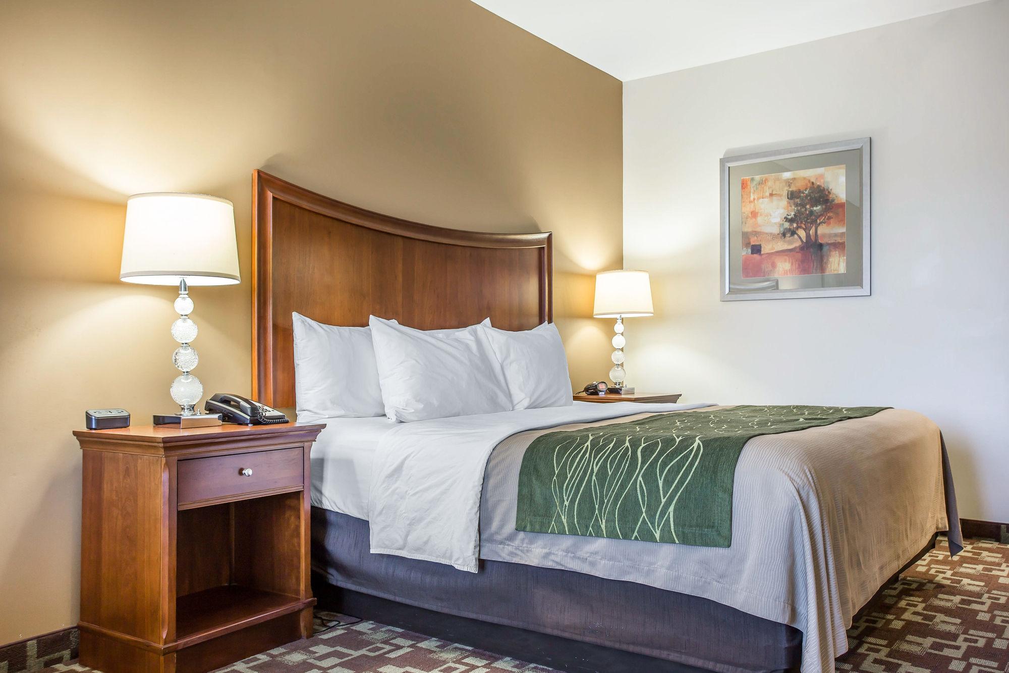 Comfort Inn & Suites Orangeburg Buitenkant foto