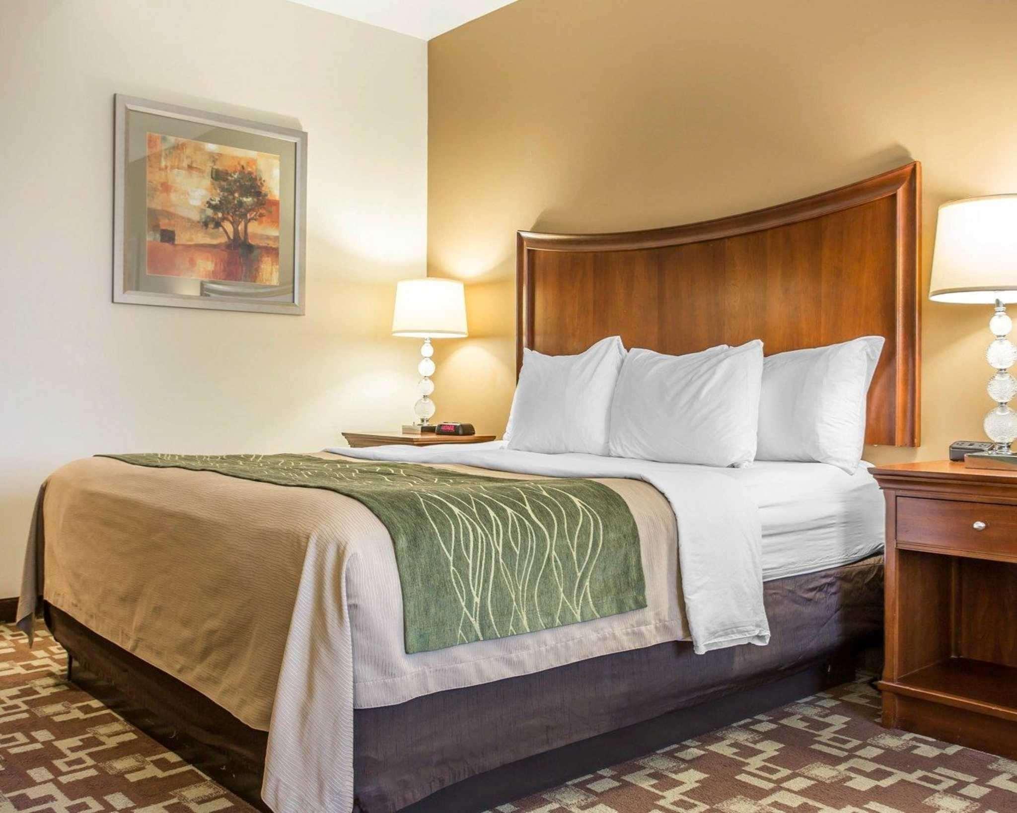 Comfort Inn & Suites Orangeburg Buitenkant foto