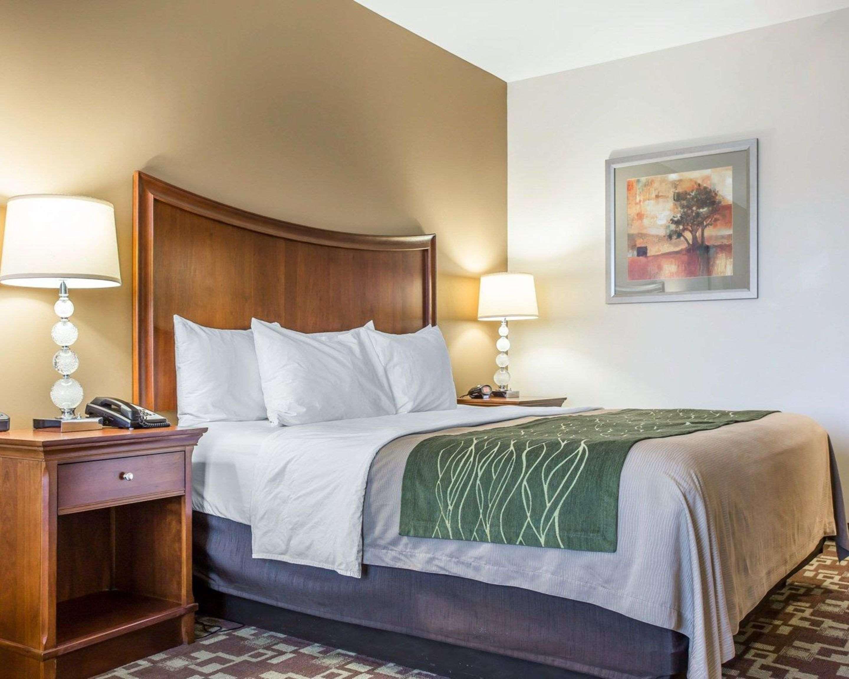 Comfort Inn & Suites Orangeburg Buitenkant foto