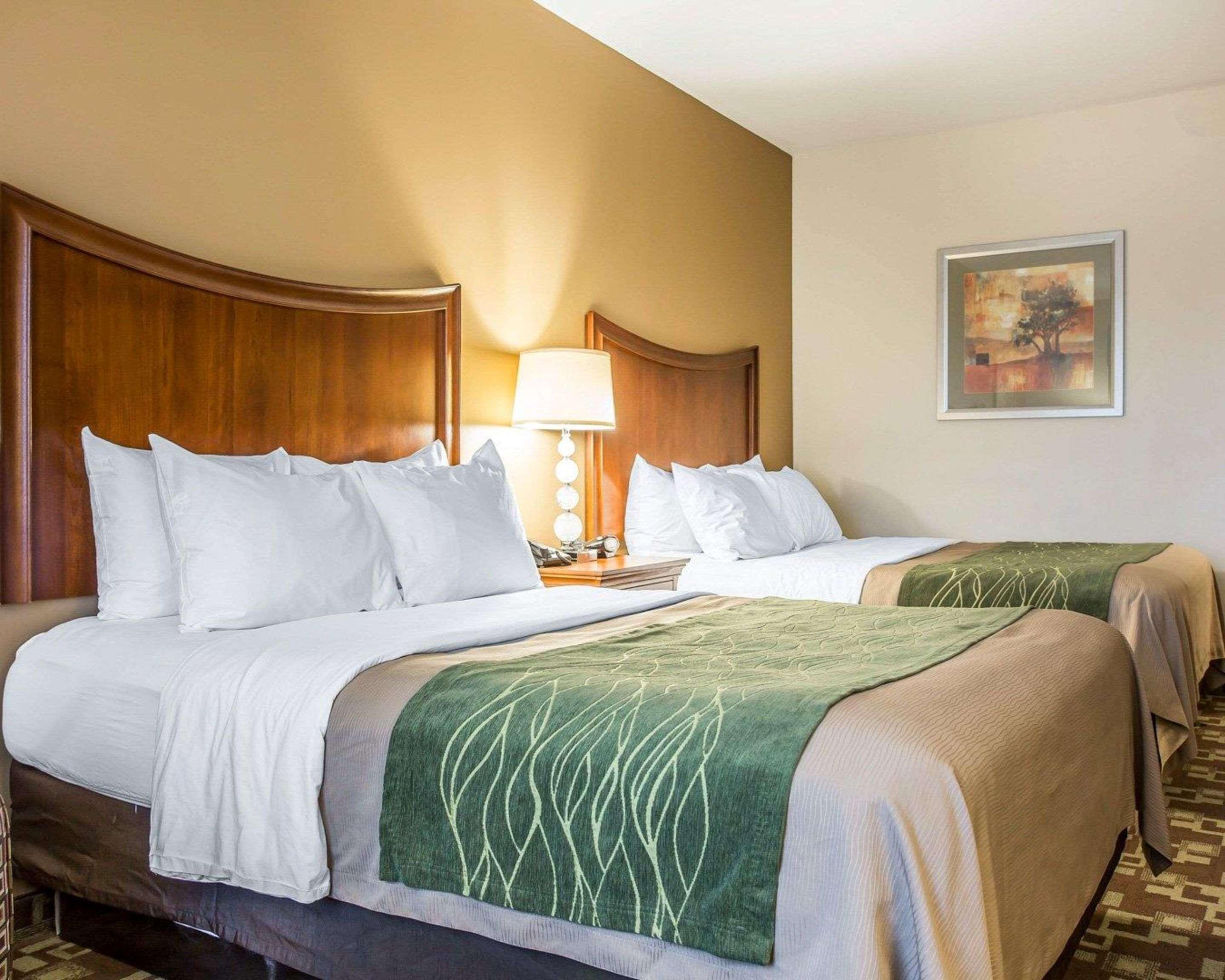 Comfort Inn & Suites Orangeburg Buitenkant foto